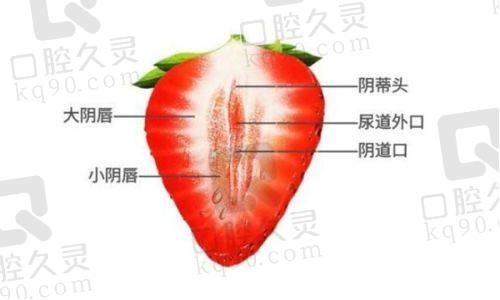 十、邯郸凯润婷医疗美容医院