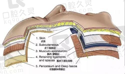 上海地区医院技术优势与价格