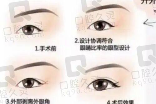 六、医生收费价目表