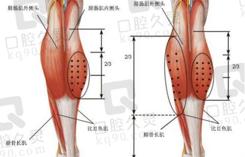 三、常熟金山医疗美容诊所基本信息：