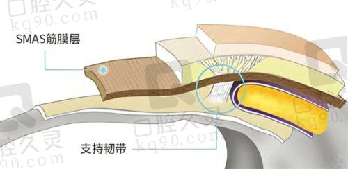 哈尔滨瑞丽整形医院评价如何?医院介绍与评价:正规资质、优秀医生和口碑服务解析