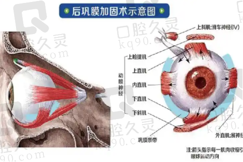 重庆当代整形王旭明医生鼻修复技术实力