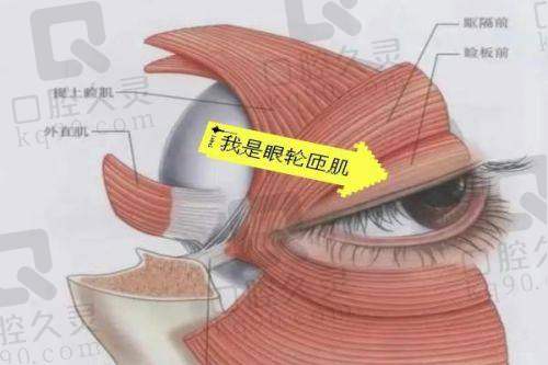 张倩倩医生的服务态度与口碑