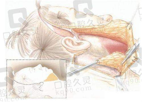 价格与口碑对比