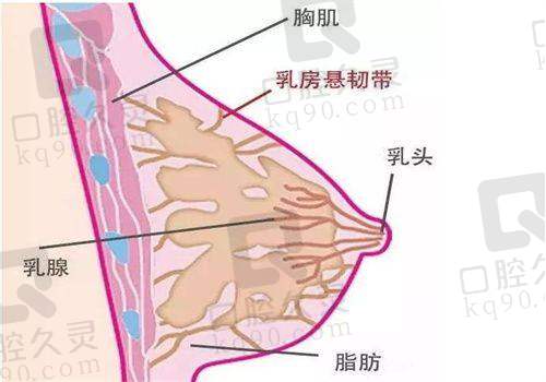 三、真实反馈：北京如颜惠芳医院的客户评价分享