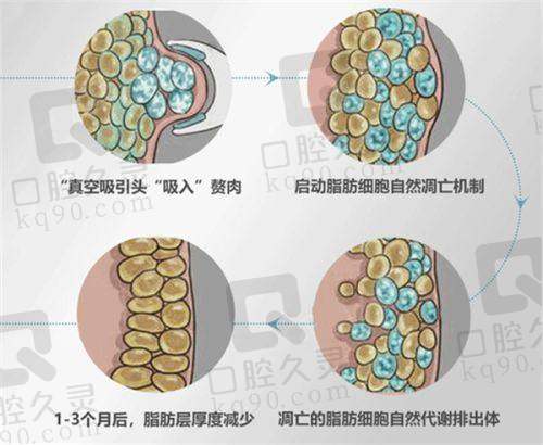二、西宁新桥口腔医院擅长的项目与技术优势