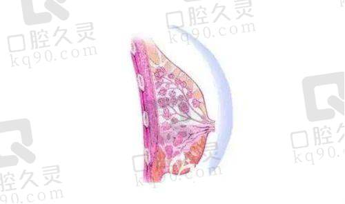 秦皇岛贝值医疗美容诊所到底咋样?和当地多家医美对比,看口碑与医生技术就明白