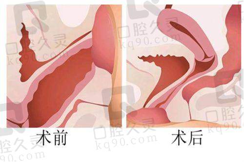 与其他医美机构的对比