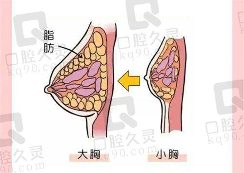 二、苏州工业园区华韩医疗美容诊所正规吗？来看看医院资质：