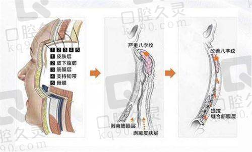 五、宿州医美佳人医院介绍医生预约挂号攻略