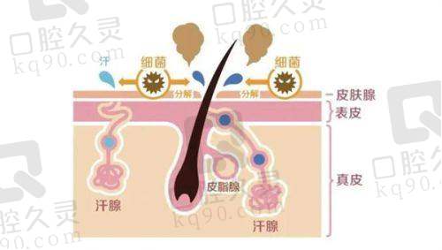 曾出现的问题不容忽视