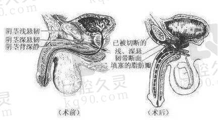 重庆松山男科的综合优势