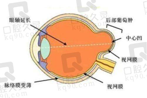 西安四院眼科的预约及乘车信息