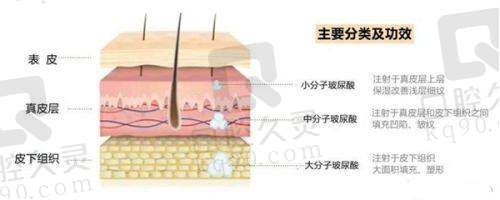 济南林之青医疗美容诊所交通路线