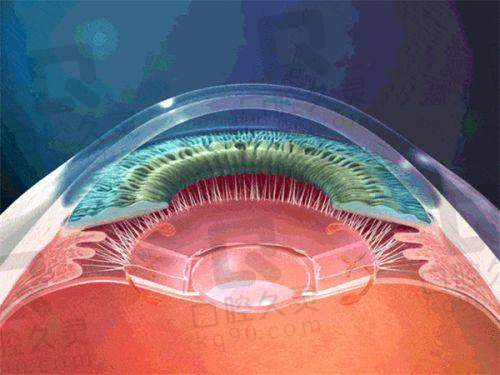 2025西安四院眼科近视手术价格表揭秘，多种术式定价合理且技术优势显著 