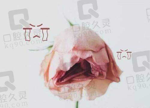 医院项目及价格