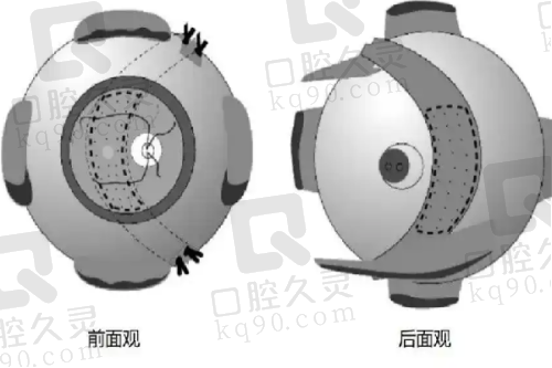 遵义博泰整形美容：项目齐全的专精整形医疗机构