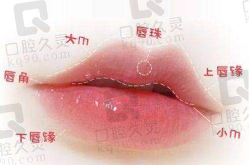 收费情况分析