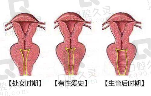 透明收费体系