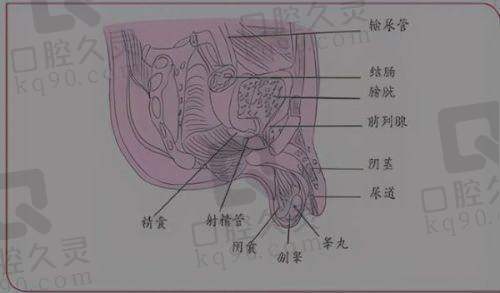 多中 心服务特色