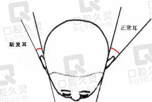 特色项目介绍