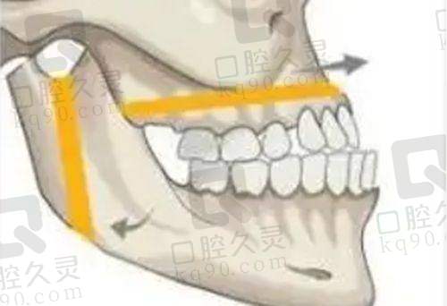 顾客体验与注意事项