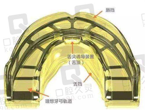 武大口腔贺红医生正畸风格：技术与温度双在线