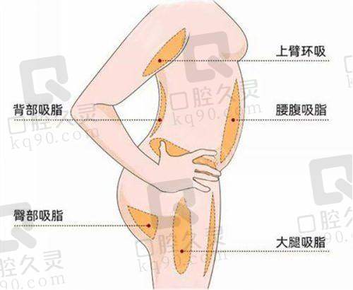 医生团队情况