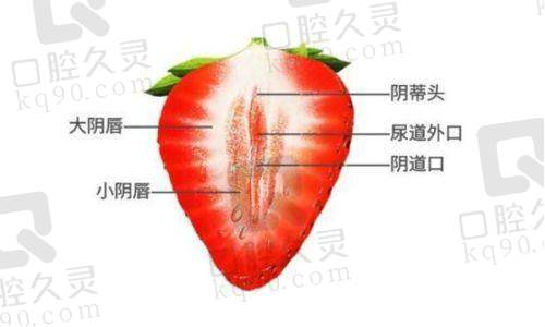 地理位置与规模