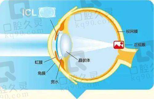 优质的医生团队