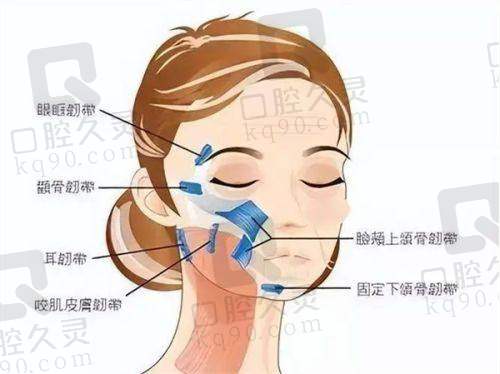 口碑大起底