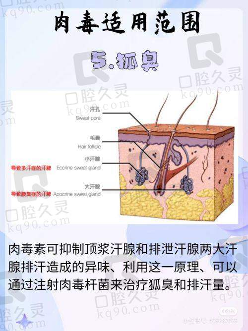 医院医生介绍
