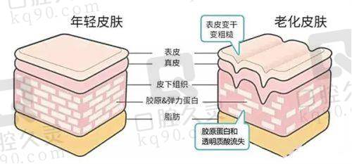 上海百达丽医疗美容门诊部靠谱吗？能开展广泛项目，医生团队优，隆鼻效果自然