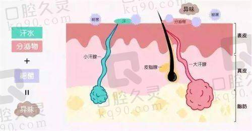 二、石家庄齐金杰医疗美容门诊部怎么样？