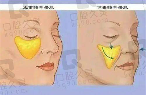 核心项目介绍