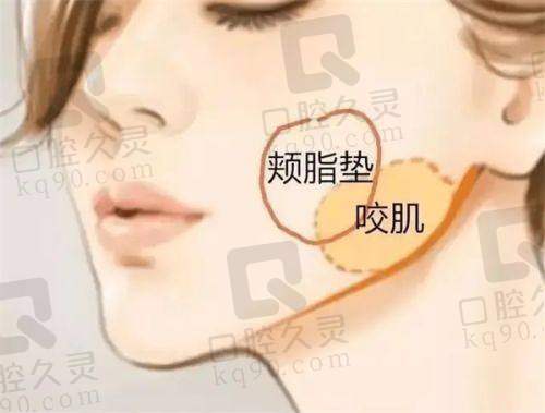 广州米伦医疗是渠道医院吗?专业资质与多元服务证明正规非渠道之选