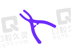 南京卡瓦口腔医院：实惠种植牙价格，满足患者需求