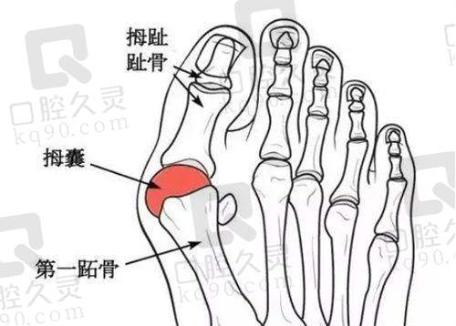 大同景然雷国婕医生社会职称