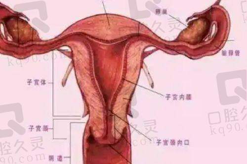 四、深圳美莱整形医院的详细信息