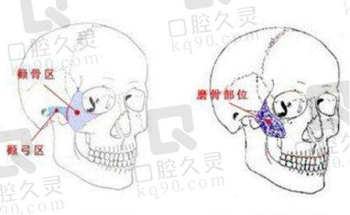 天津美莱医学美容医院口碑好吗?医院口碑分析与正规性评估,正规靠谱评分高