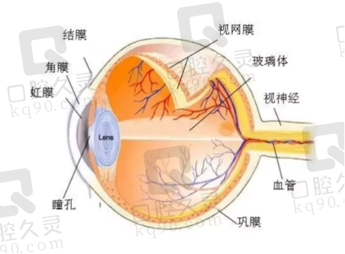 海口国爱近视治疗中 心细致的验配过程