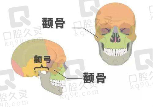 医院的环境和服务怎么样？