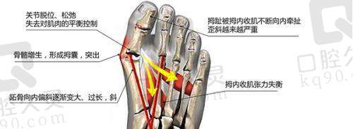 姜宇禄医生：经验多的整形名咖