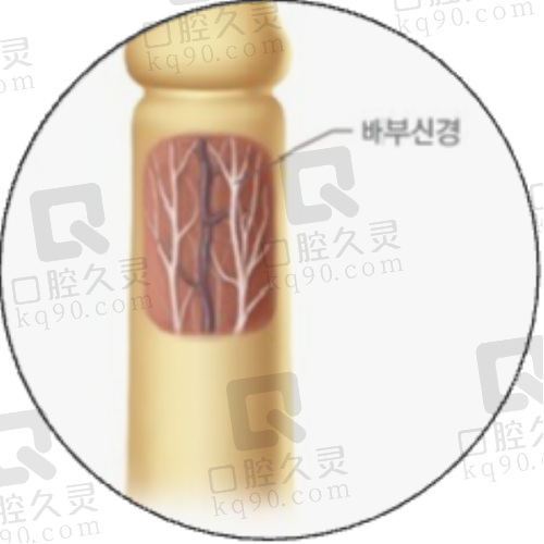 综上所述，太原军大整形医院具备正规资质、医师水平稳健、设备体系完善、服务理念先进，在当前医美市场中属于相对靠谱的选择。无论是从术前咨询、定制化设计、还是术后指导恢复，太原军大整形医院都体现出医疗与服务并重的理念。如果你对整形项目感到迷茫，不妨拨打医院官方渠道进行咨询，了解更多项目内容。从了解开始，逐步走向更美的自己。欢迎前往院区实地感受环境与技术，让美丽来得更加安心和自然。