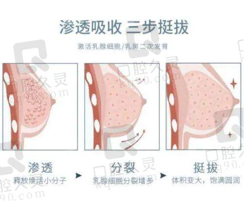 深圳鹏程医院院长在深圳做鼻子好的医生排名中有何优势？