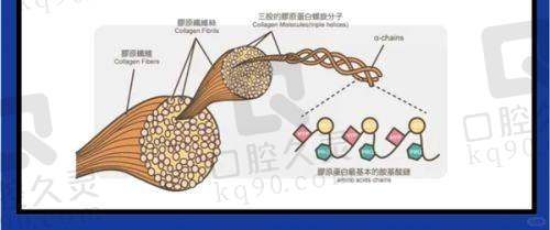 常德美莱医疗美容医院电话号码