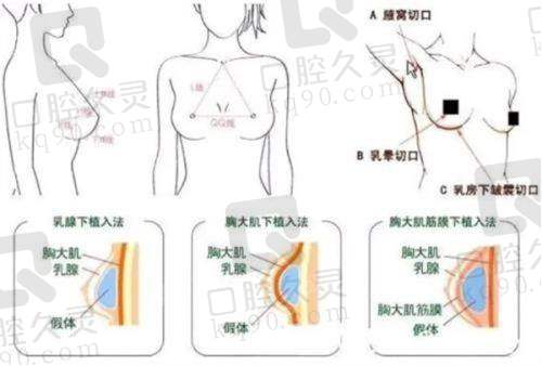 五、上海百汇医疗美容医院怎么预约：