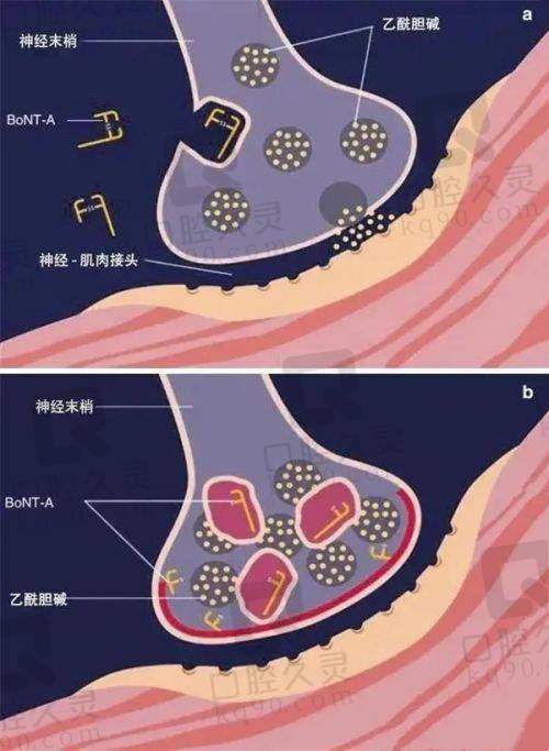 成都军大整形外科医院汪雅医生的口碑评价