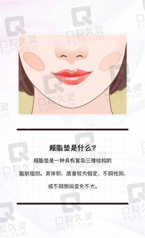 顾客口碑评价