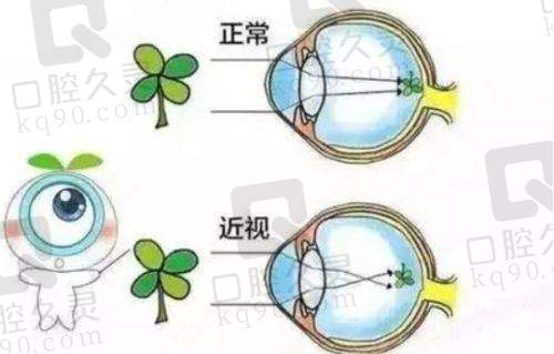 口碑载道，理想之选